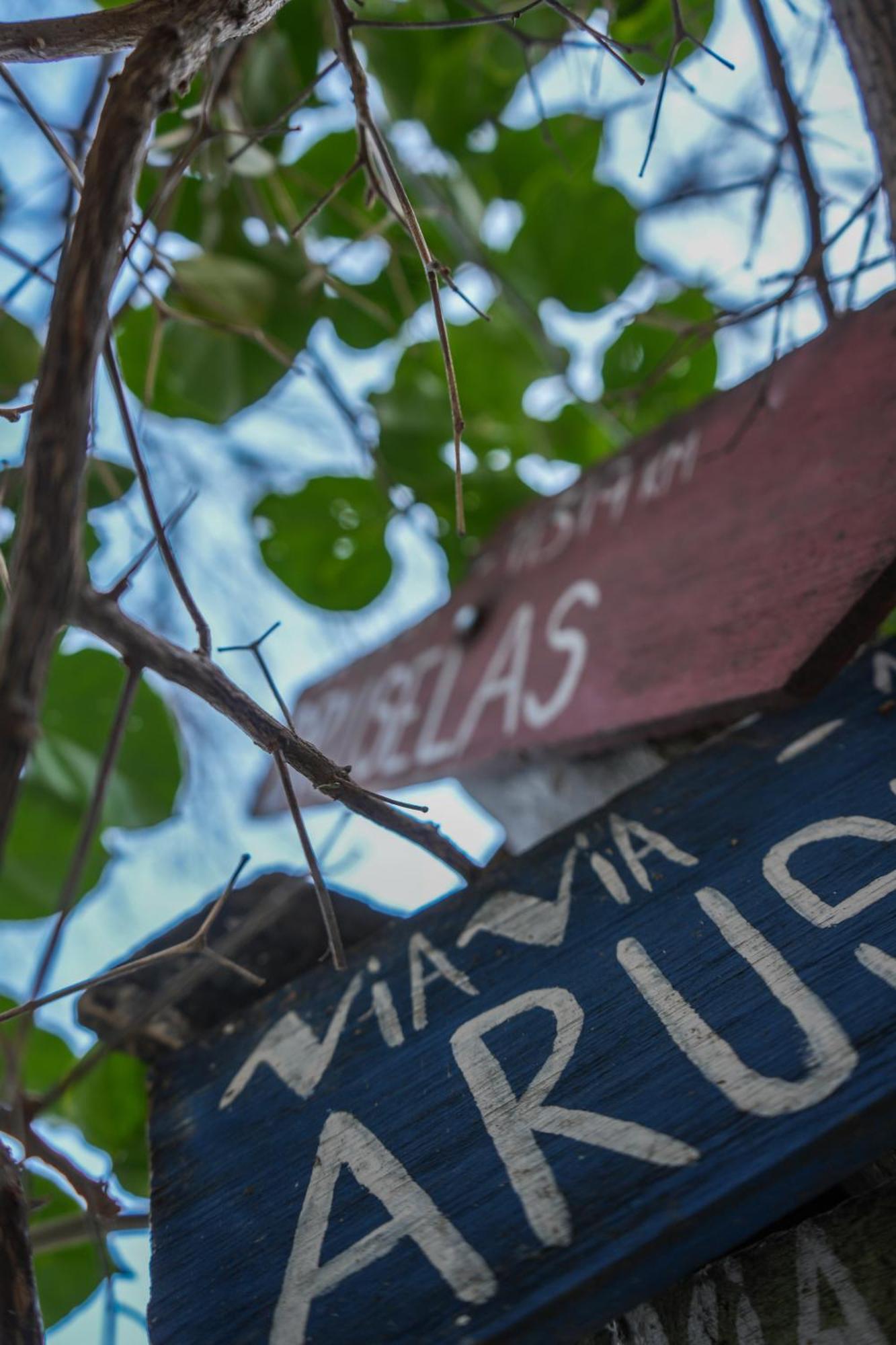Viavia Bsas Guesthouse 324 Buenos Aires Kültér fotó